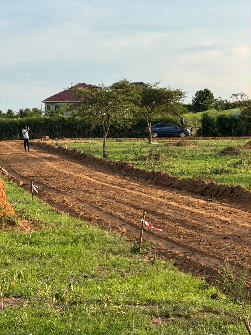 Karungi Estate