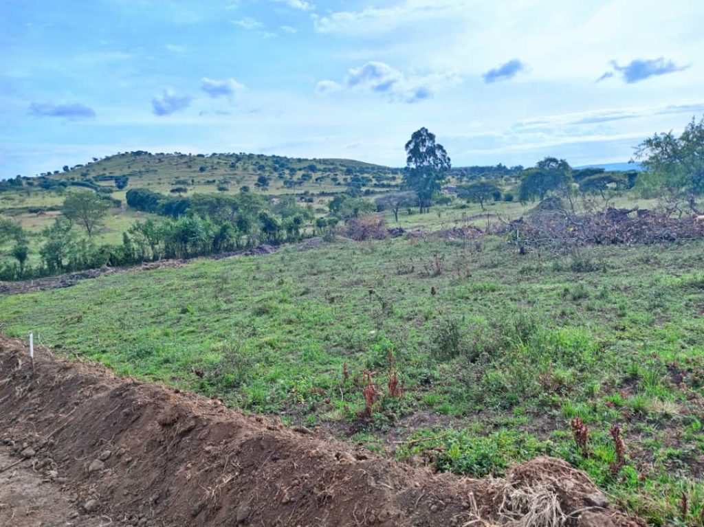 Estate Adella Rwenjeru (50x100ft Plots) Buy land in Mbarara Africus SouthWest Estates